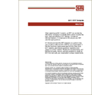 E911 RFP Template